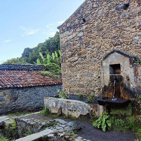 Aldeia Do Sanguinho Hotel Faial da Terra Kültér fotó